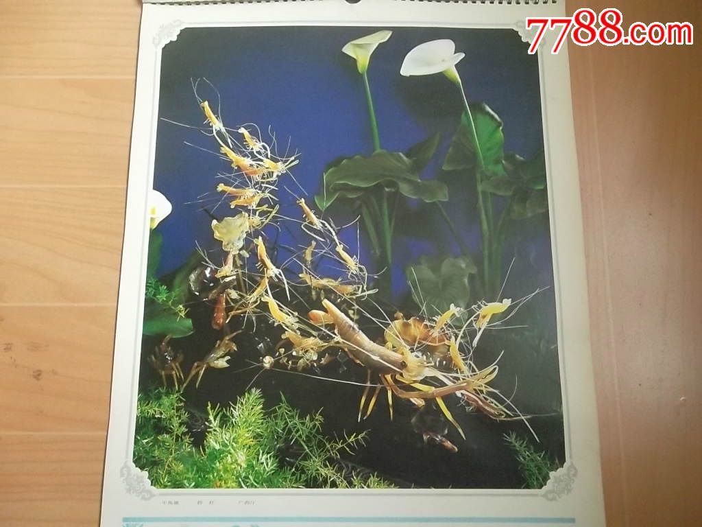 方寸之间的灵动 赏人民大会堂广西厅牛角雕《群虾》印刷版