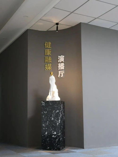 健康融媒演播厅正式上线 唱响健康好声音，探索工艺美术品零售新方向